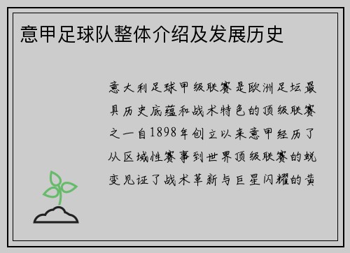 意甲足球队整体介绍及发展历史