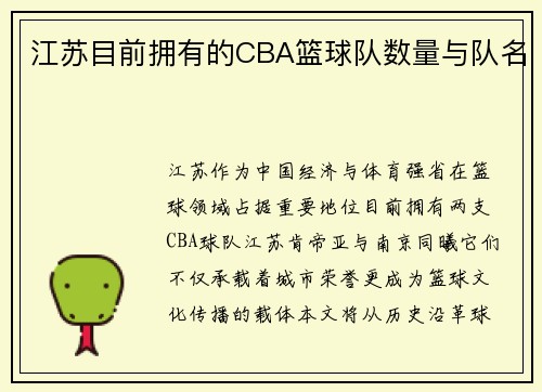 江苏目前拥有的CBA篮球队数量与队名